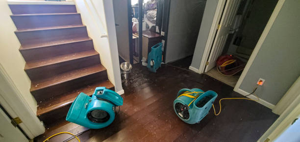 Best Water damage cleanup near me  in Atwood, KS