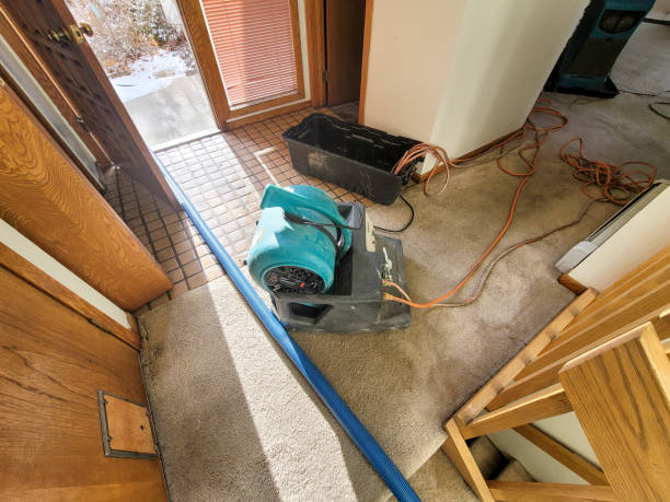 Best Fire Damage Restoration  in Atwood, KS