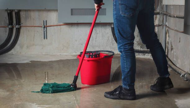Best Flood damage cleanup  in Atwood, KS