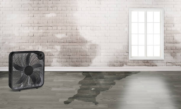 Best Emergency water damage restoration  in Atwood, KS