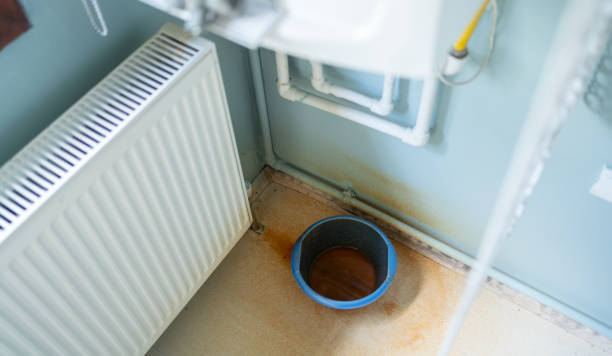 Best Water damage contractors near me  in Atwood, KS